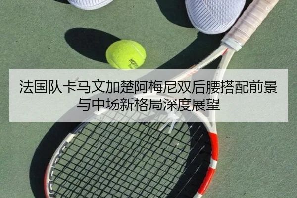法国队卡马文加楚阿梅尼双后腰搭配前景与中场新格局深度展望