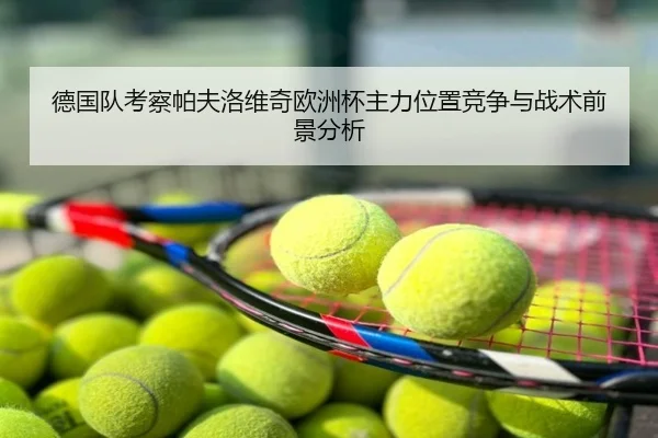 德国队考察帕夫洛维奇欧洲杯主力位置竞争与战术前景分析